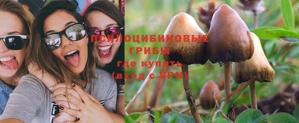 дживик Аркадак