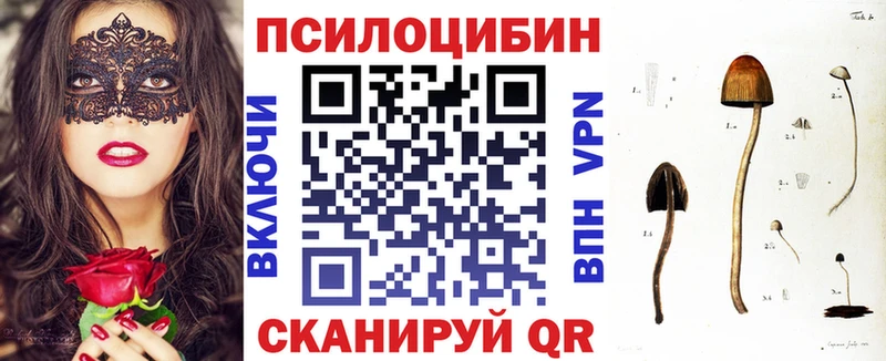 купить наркотик  Старая Купавна  Галлюциногенные грибы прущие грибы 