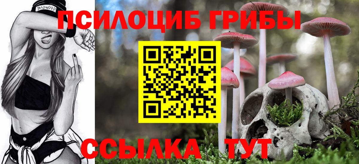 Галлюциногенные грибы MAGIC MUSHROOMS  Вход с VPN  Старая Купавна 